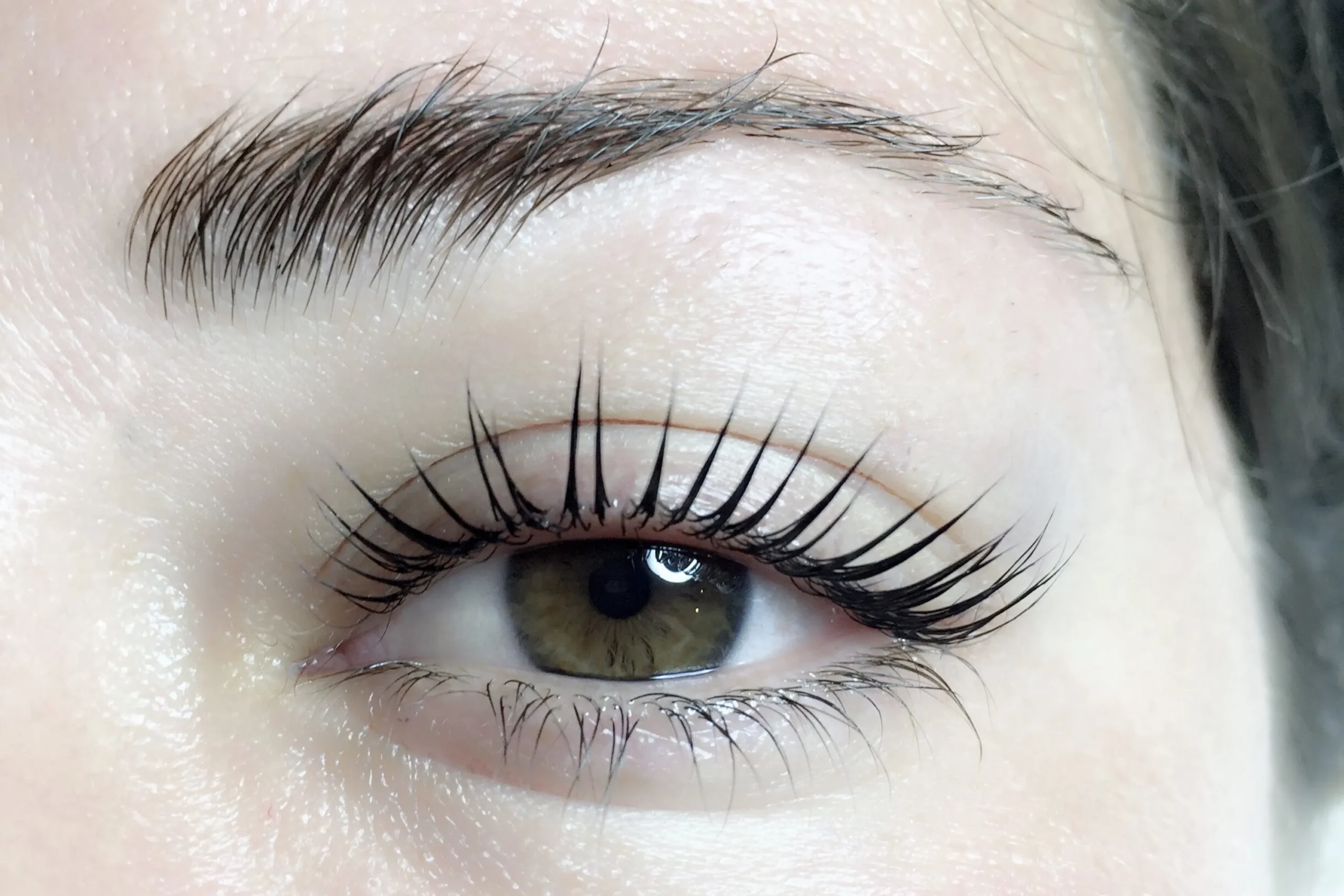 Bottom Lash Tint